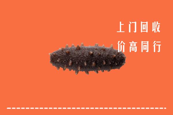 上海市青浦回收海参